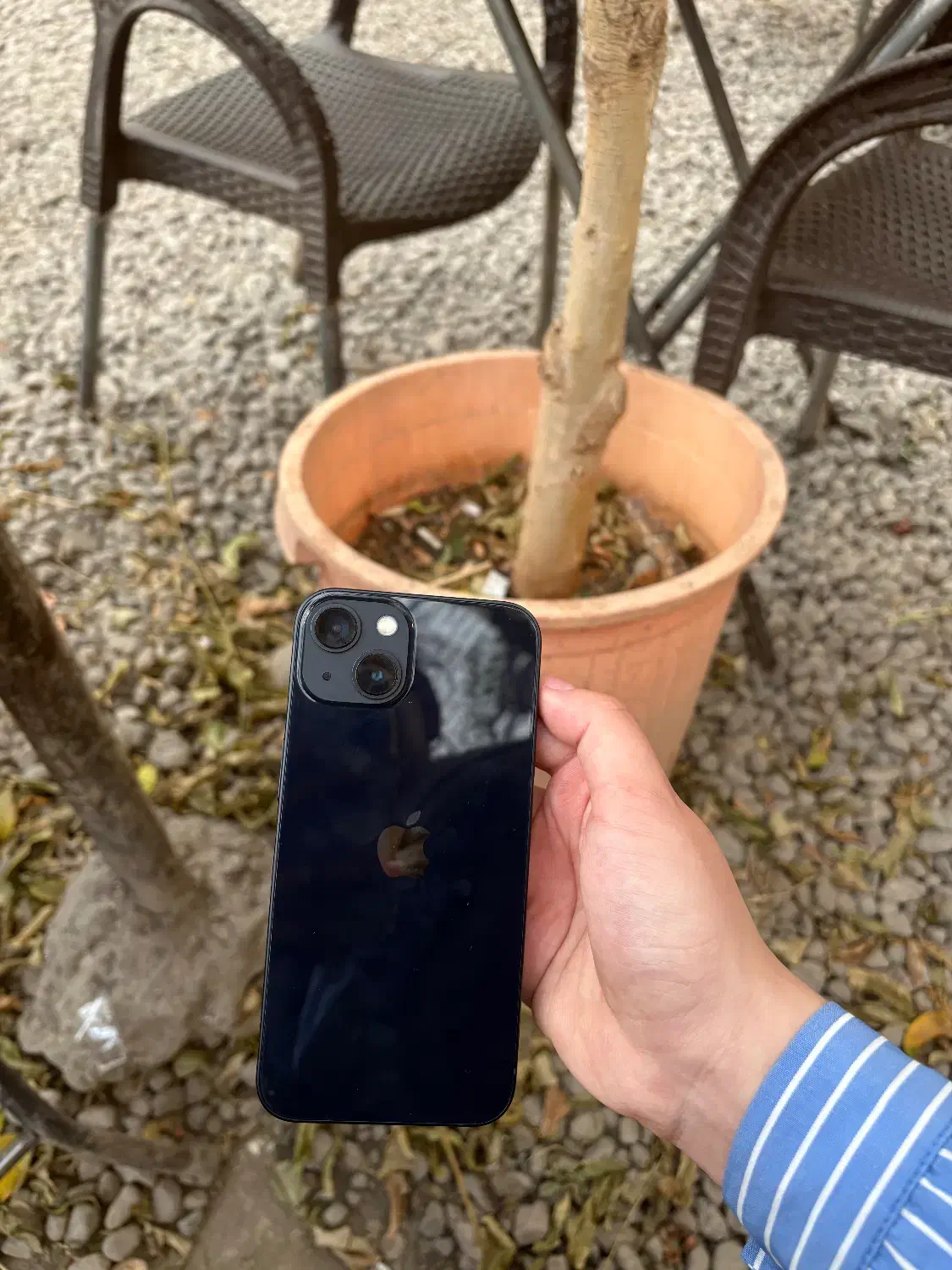 ایفون ۱۳|موبایل|تبریز, |دیوار