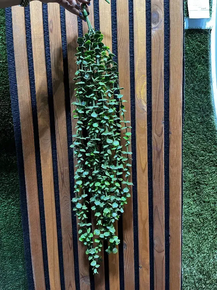 کاغذ دیواری،پارکت،ترمووال،ماربل،شیت|مصالح و تجهیزات ساختمان|اهر, |دیوار