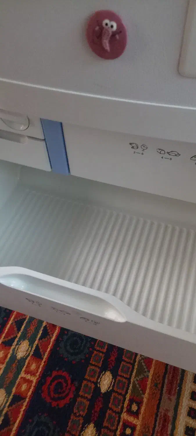 یخچال و فریزر اسنوا|یخچال و فریزر|ری, سیزده آبان|دیوار