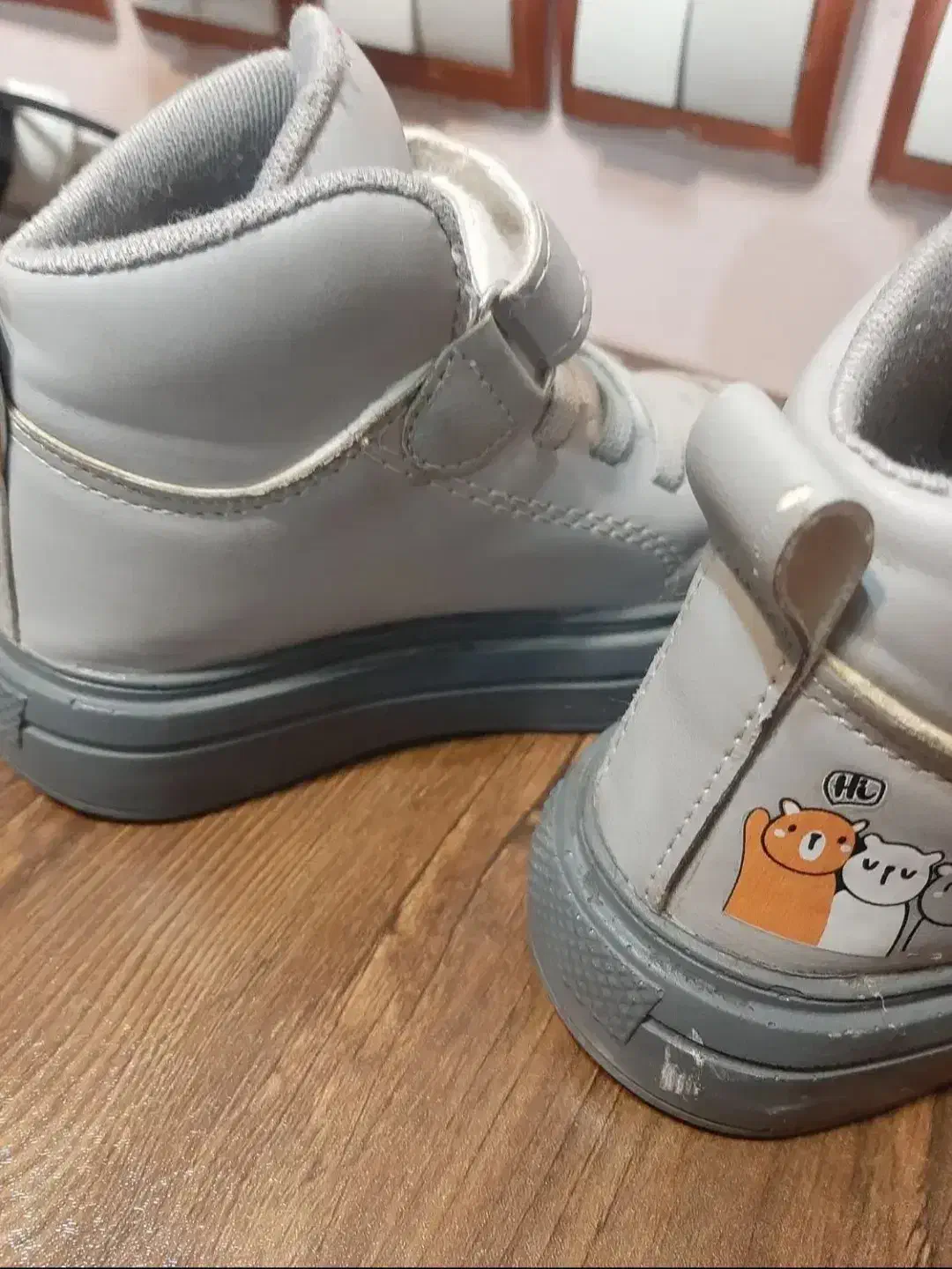 کفش|کیف، کفش، کمربند|گرگان, |دیوار