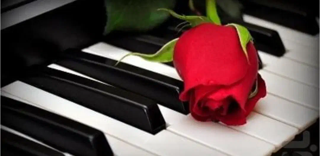 اجرای موسیقی|خدمات پذیرایی، مراسم|زابل, |دیوار