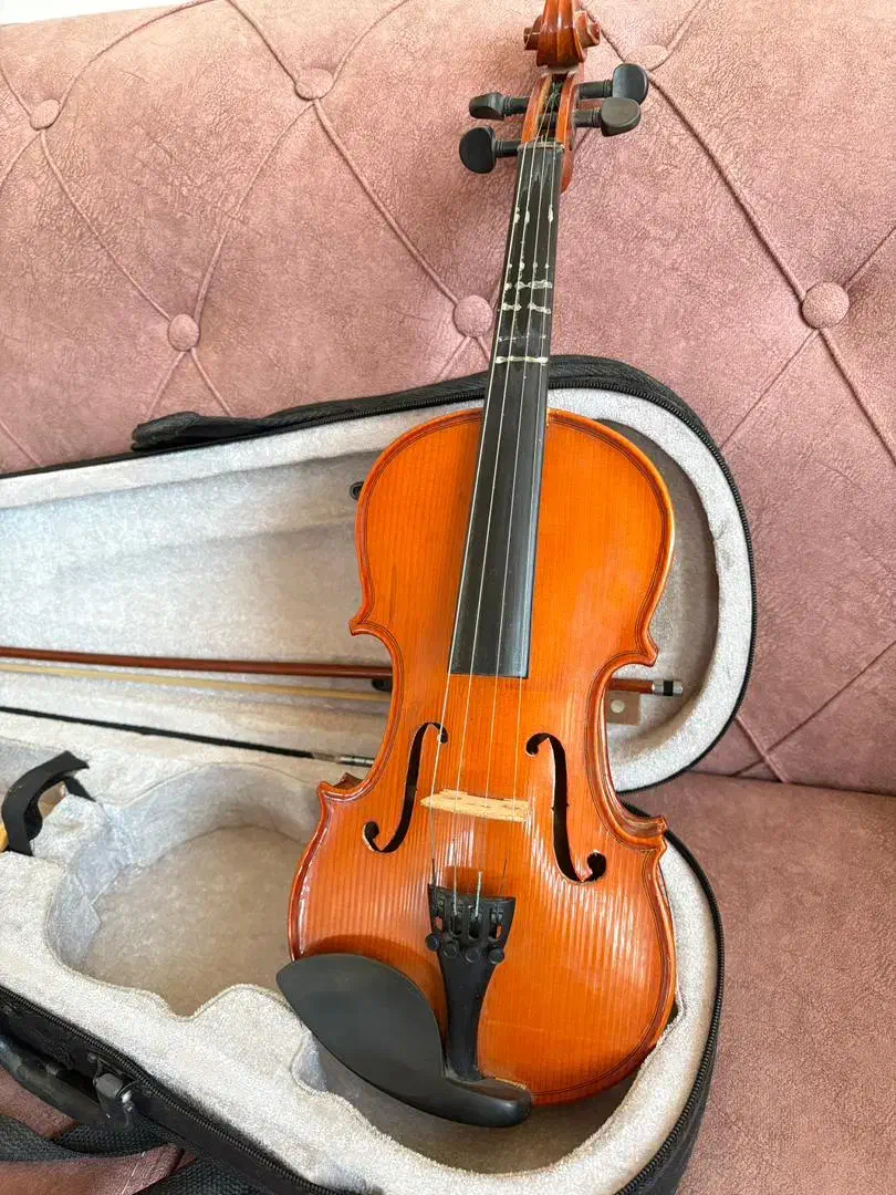 ویولن|ویولن|فلاورجان, |دیوار