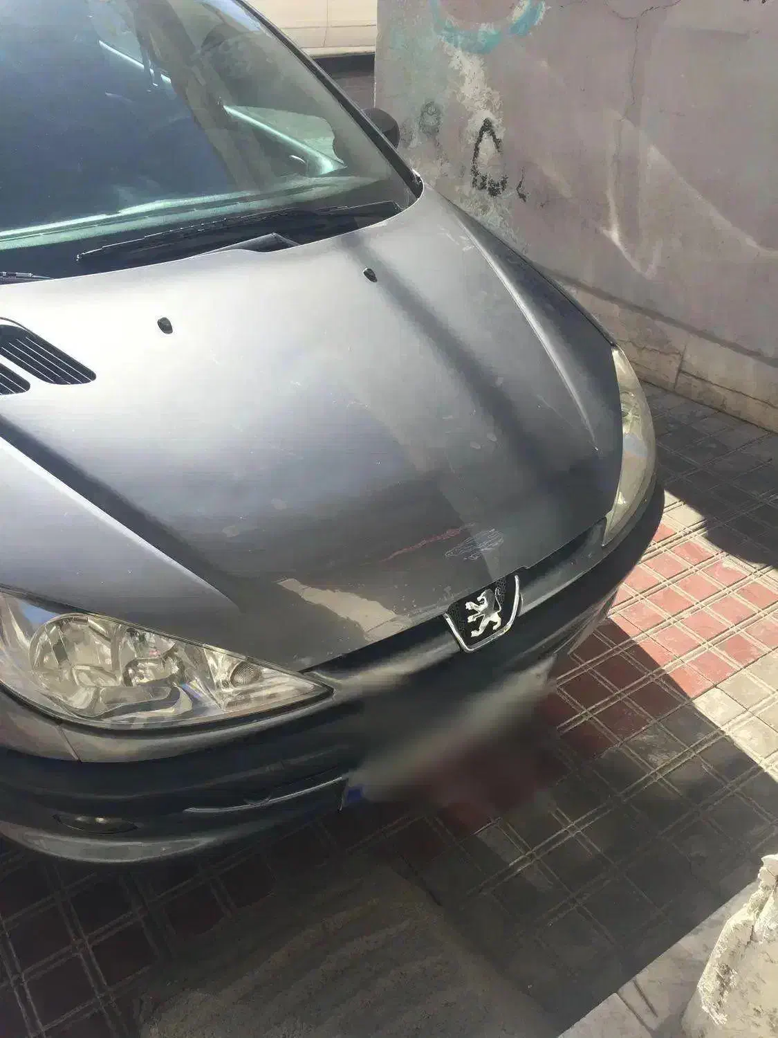 ۲۰۶تیپ ۵ مدل ۹۶|خودرو سواری و وانت|تربت‌حیدریه, دیزقند|دیوار