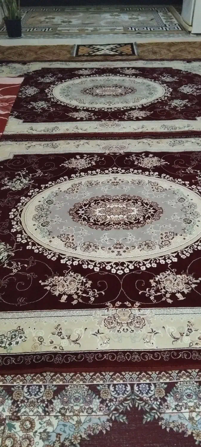 قالی ۶متری|فرش|انبارآلوم, |دیوار