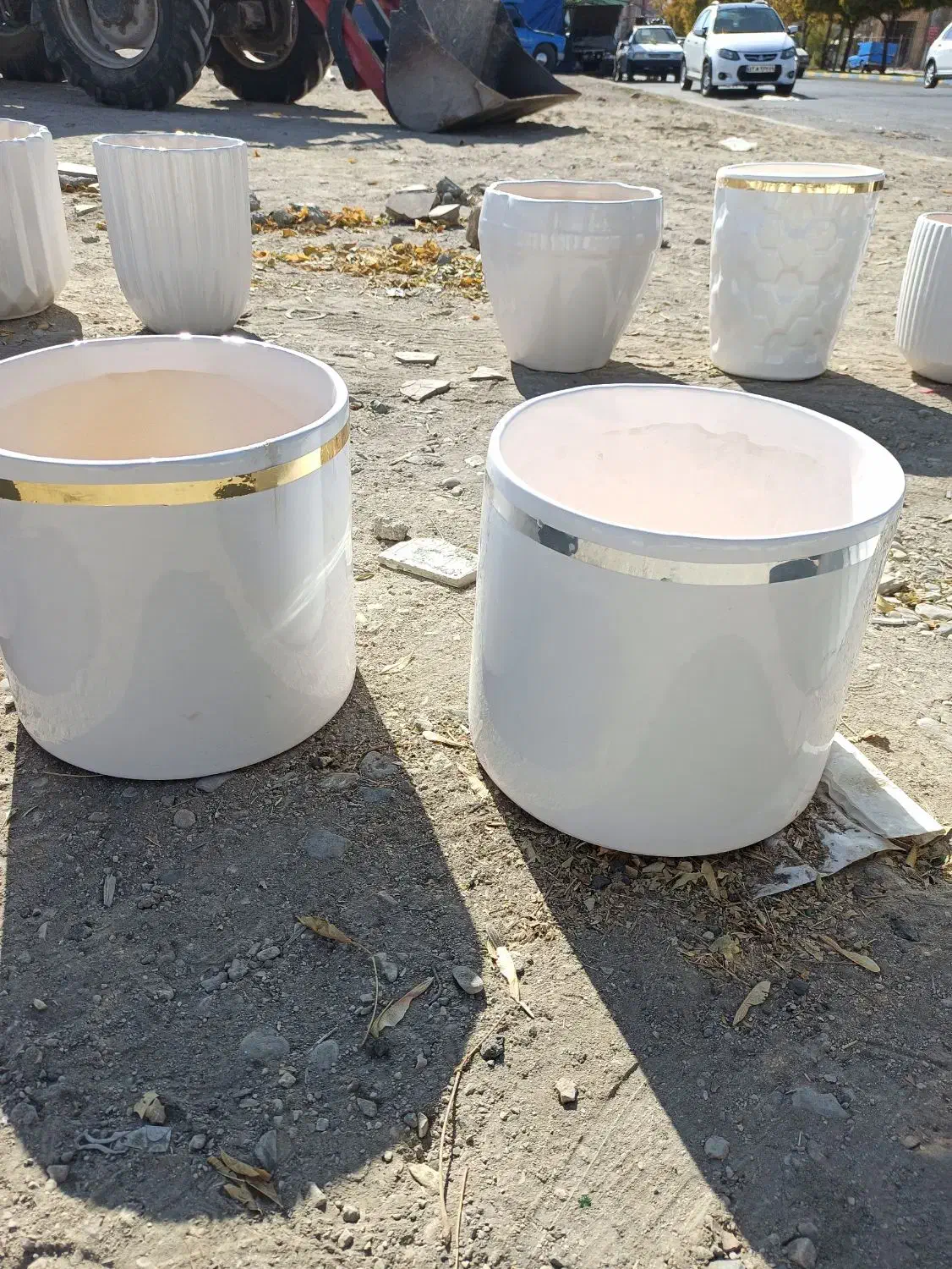 گلدان|گل و گیاه طبیعی|اسلام‌‌آباد غرب, |دیوار