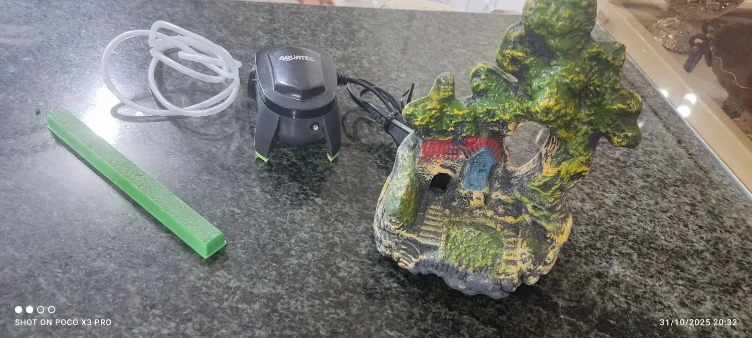 تجهیزات آکواریوم|ماهی|نجف‌آباد, فرخی|دیوار