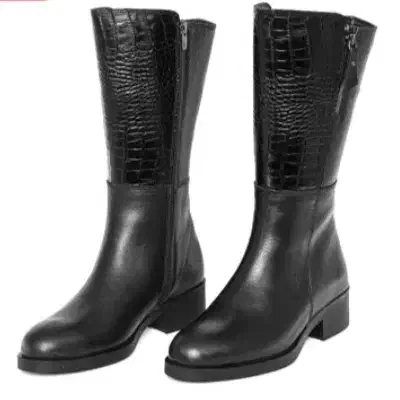 بوت ویان|کیف، کفش، کمربند|تهران, مجیدآباد|دیوار