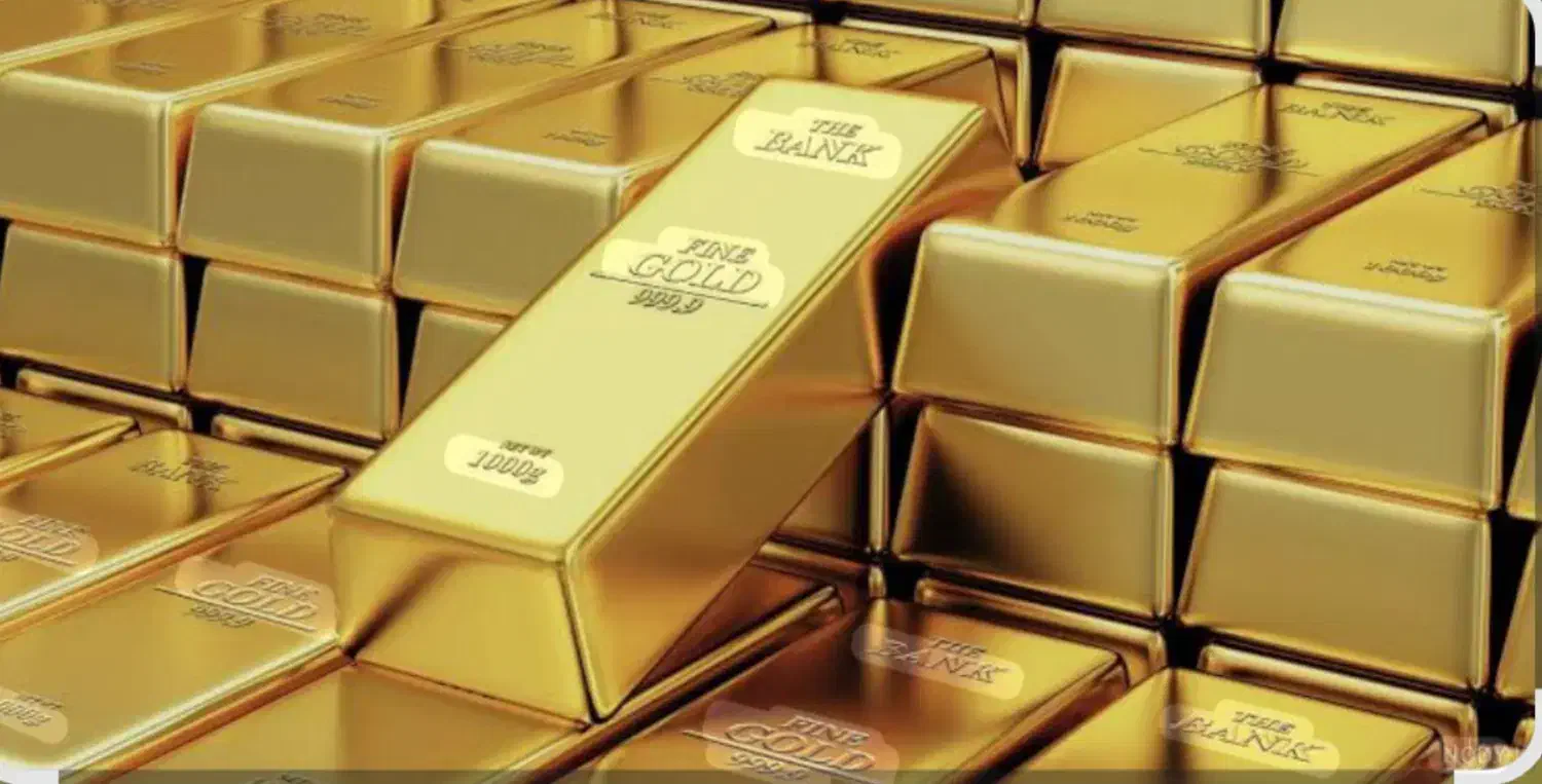 میلی گلد|کارت هدیه و تخفیف|تهران, شهرآرا|دیوار