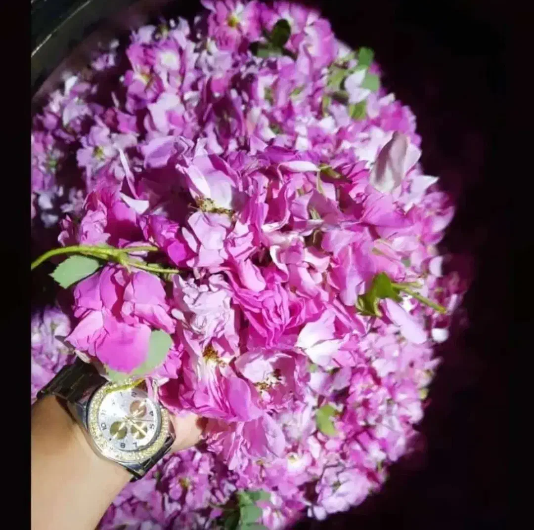 عرقیات درجه یک و خالص از پایتخت گلاب ایران،قمصر|عمدهفروشی|قمصر, |دیوار