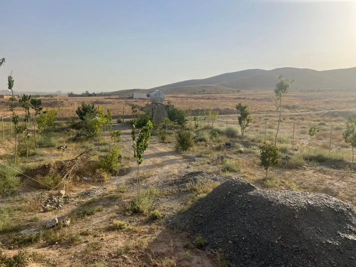 درخت بیدقطعه ۱۰۰۰متری دورفنس بادرخت|فروش خانه و ویلا|طرقبه, |دیوار