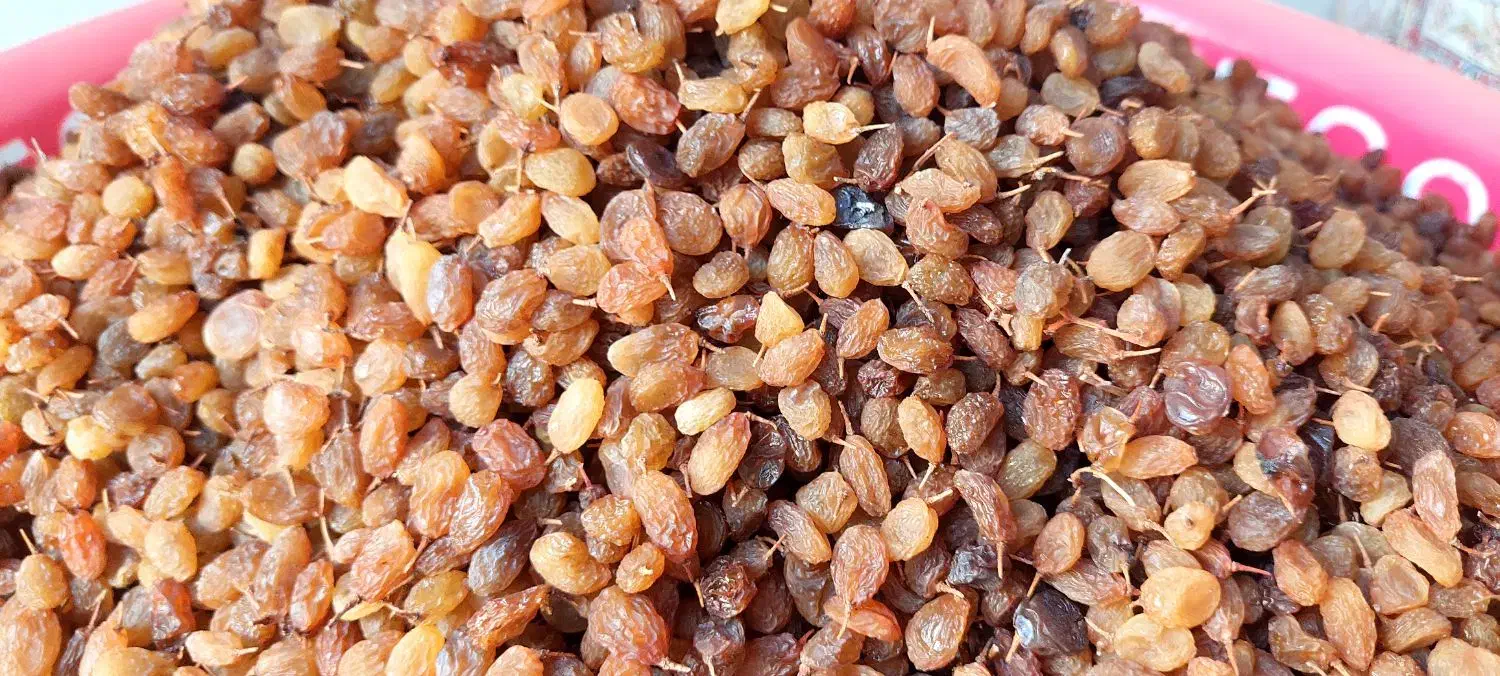 کشمش بی دانه درجه یک تازه سال|خوردنی و آشامیدنی|کامیاران, |دیوار