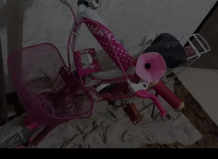 دوچرخه بیست دخترانه.|دوچرخه، اسکیت، اسکوتر|بندرعباس, |دیوار