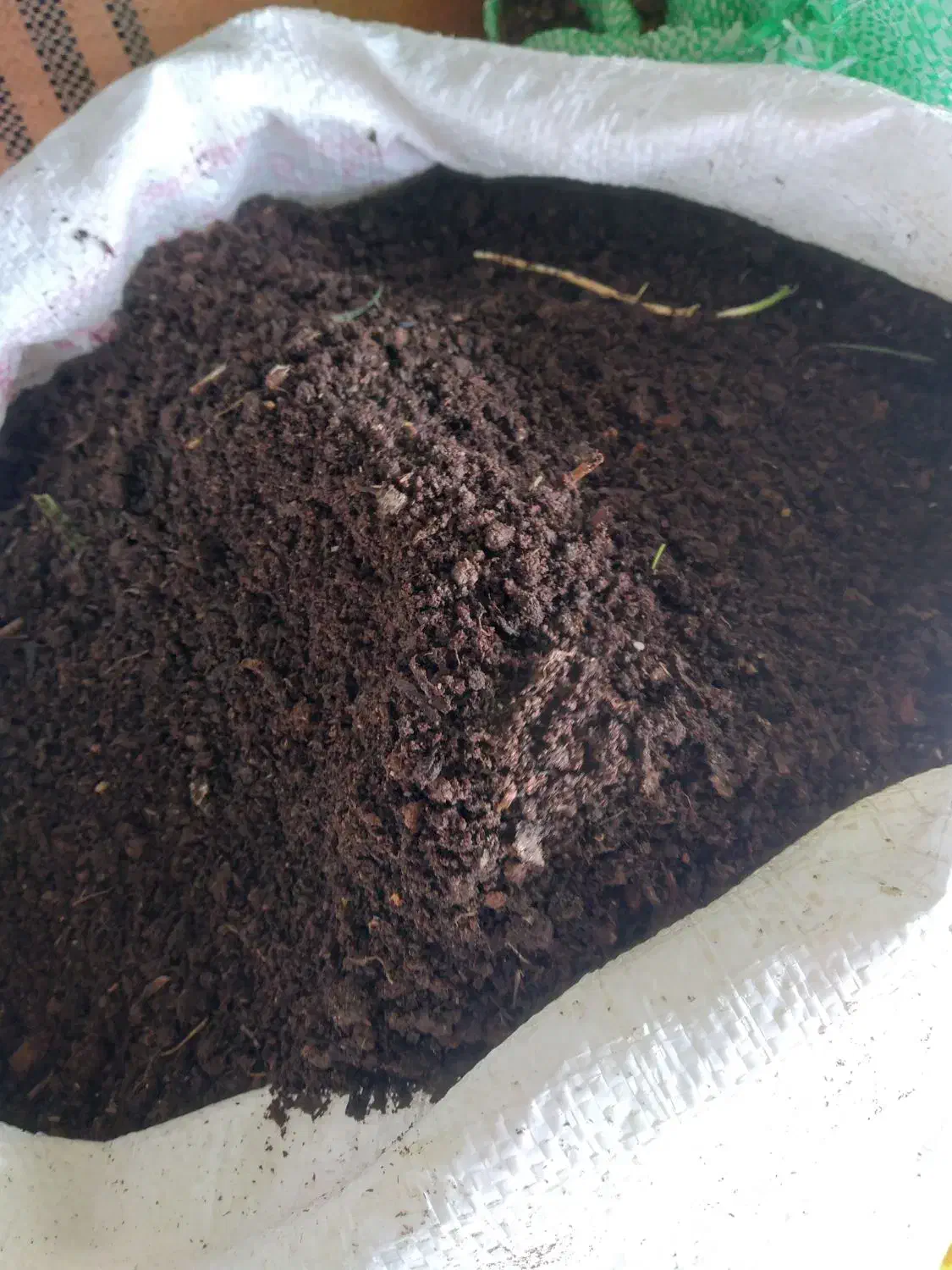 پهن خشک والک شده|خدمات باغبانی و درختکاری|ماسال, |دیوار