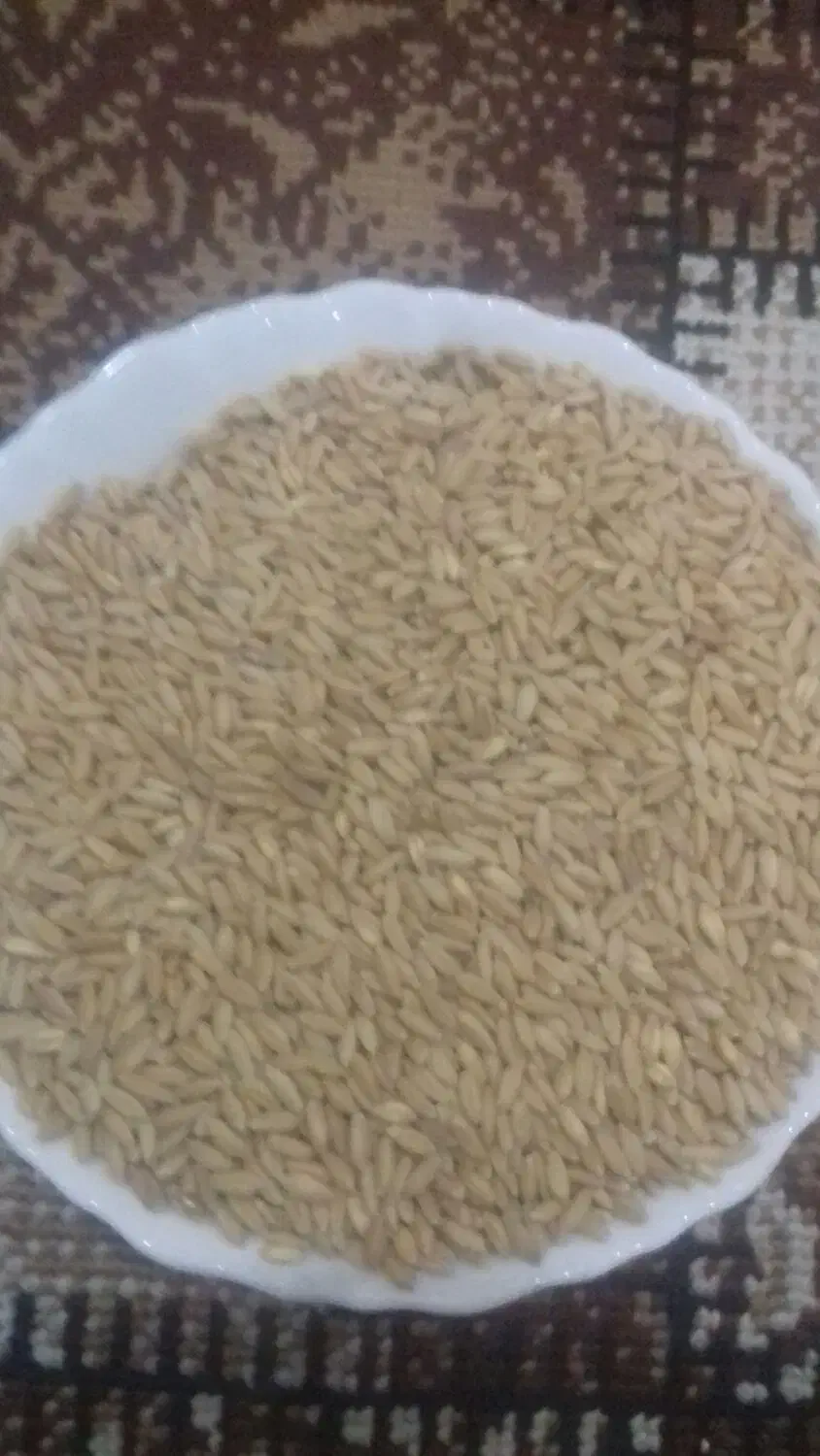 گندم دیم بوجاری شده ی تبریز|خوردنی و آشامیدنی|قم, سید معصوم|دیوار