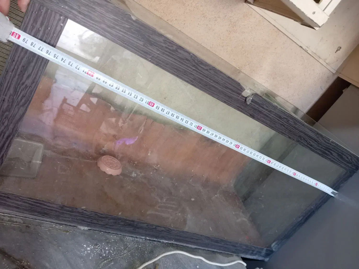 شیشه آکواریوم|ماهی|قروه, |دیوار