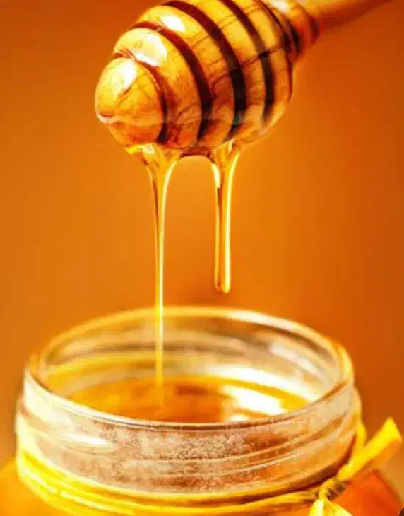 عسل ناب خوانسار|عمدهفروشی|قرچک, مهدیه|دیوار