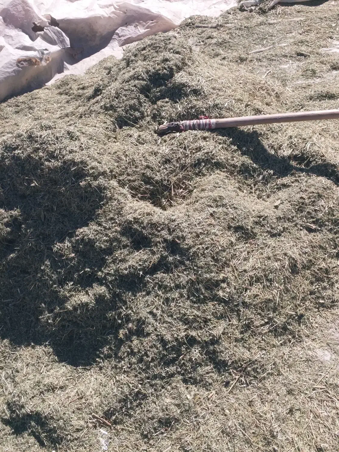 یونجه|لوازم جانبی حیوانات|خاوه, |دیوار