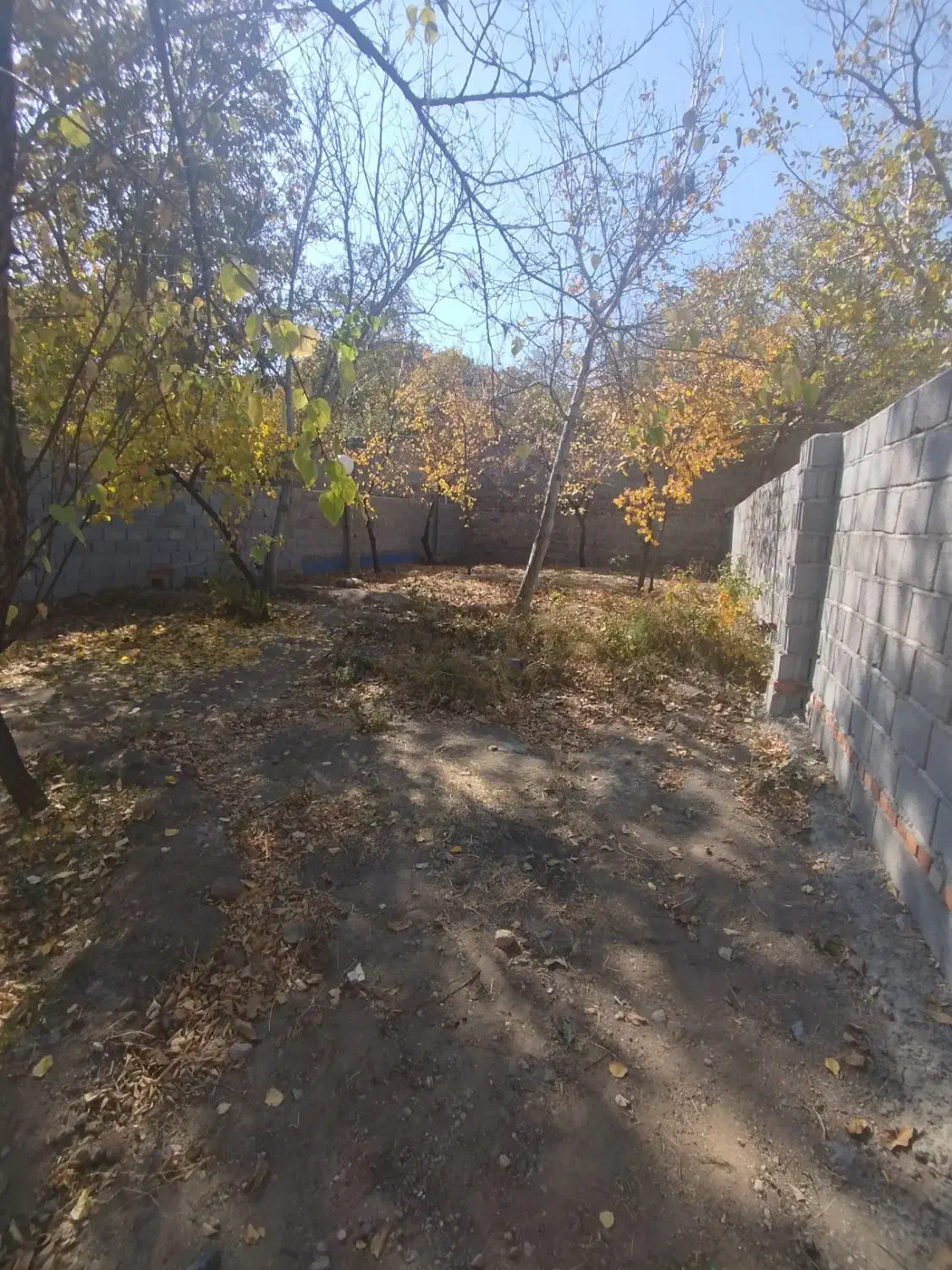 باغ حصارداردراسکو|فروش زمین و ملک کلنگی|اسکو, |دیوار