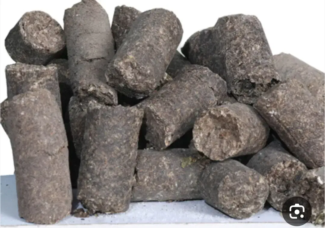 خرید و فروش تفاله چغندر قند|حیوانات مزرعه|پیرانشهر, |دیوار