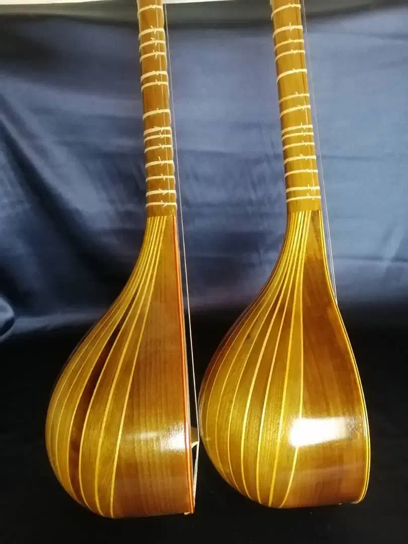 سه تار خوش صدا شاهرخی|سازهای سنتی|گلبهار, شهر جدید گلبهار|دیوار