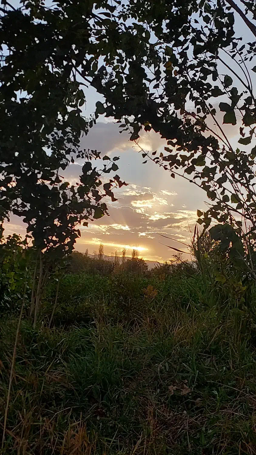 زمین زراعی خوش موقعیت|فروش دفتر صنعتی، کشاورزی، تجاری|خرمدره, |دیوار