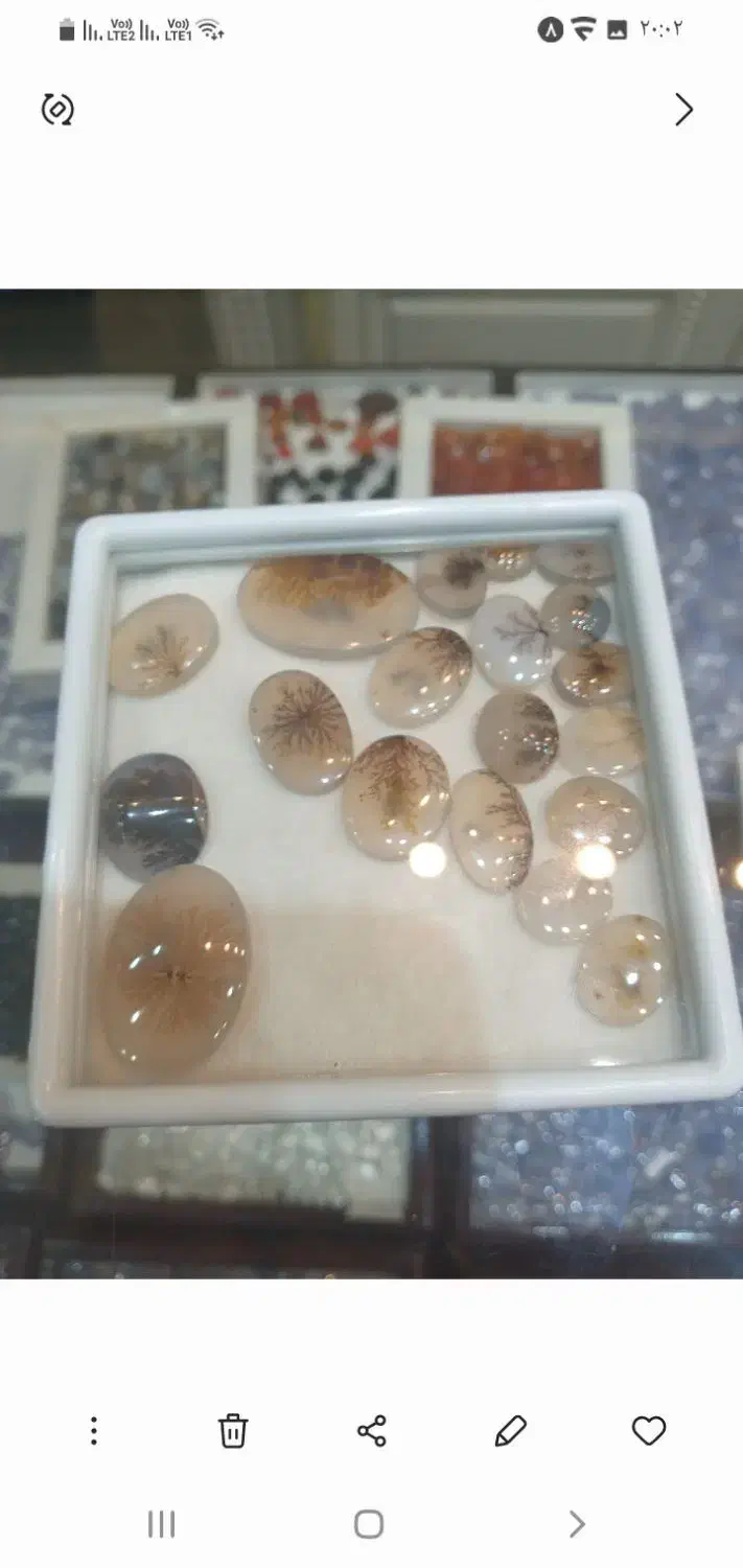 سنگ شجر و فیروزه|جواهرات|همدان, |دیوار