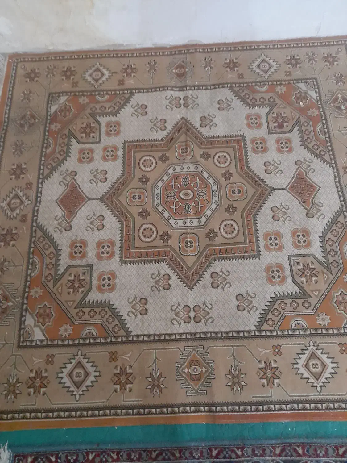 فرش اشپزخانه|فرش|ارومیه, |دیوار