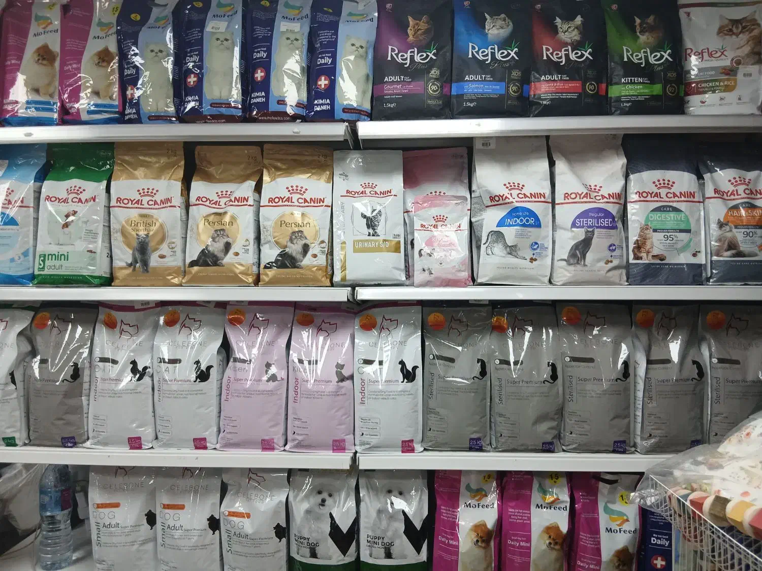 انواع غذا خشک و تر گربه و سگ|لوازم جانبی حیوانات|تهران, جنتآباد مرکزی|دیوار