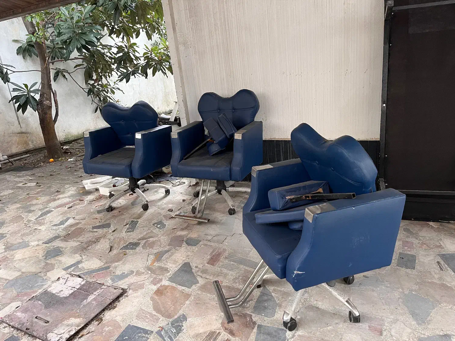 تجهیزات سالن زیبایی|آرایشگاه و سالن‌های زیبایی|تنکابن, |دیوار