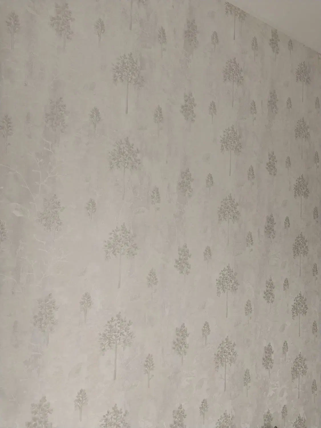 نصب کاغذ دیواری ونقاشی ساختمان انجام میدهم|خدمات پیشه و مهارت|فردوسیه, |دیوار