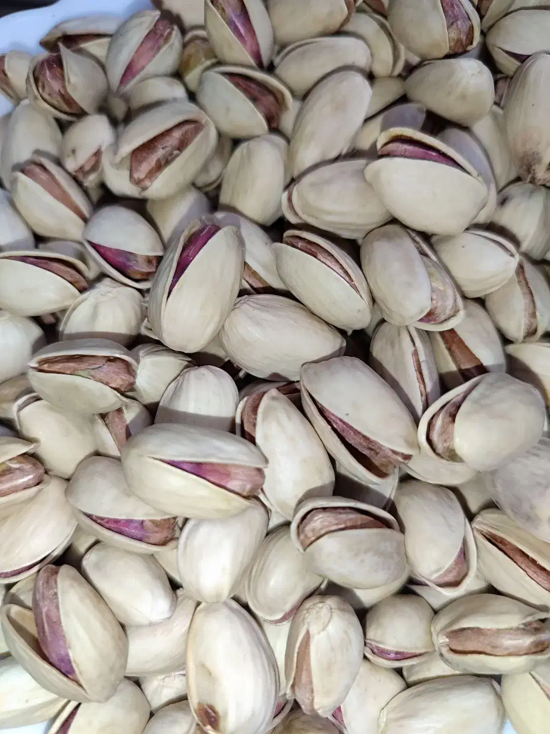 پسته احمد آقای تازه و تمام خندان|خوردنی و آشامیدنی|نیریز, |دیوار