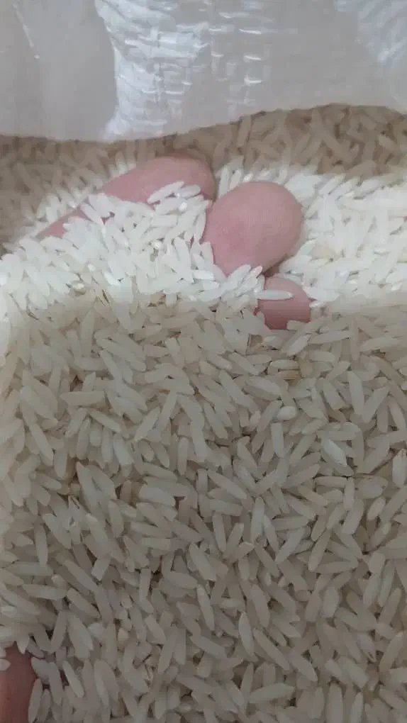 برنج هاشمی|خوردنی و آشامیدنی|رشت, باهنر|دیوار