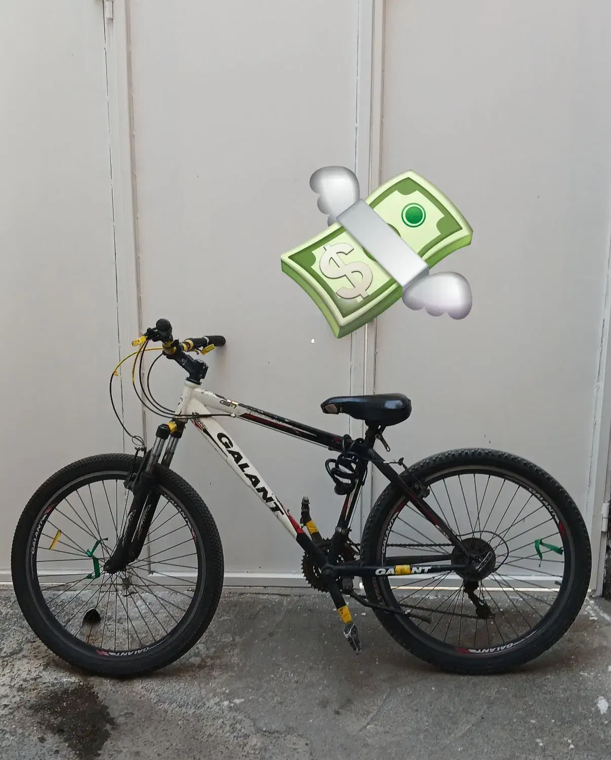 فروشی دوچرخ|دوچرخه، اسکیت، اسکوتر|نقده, |دیوار