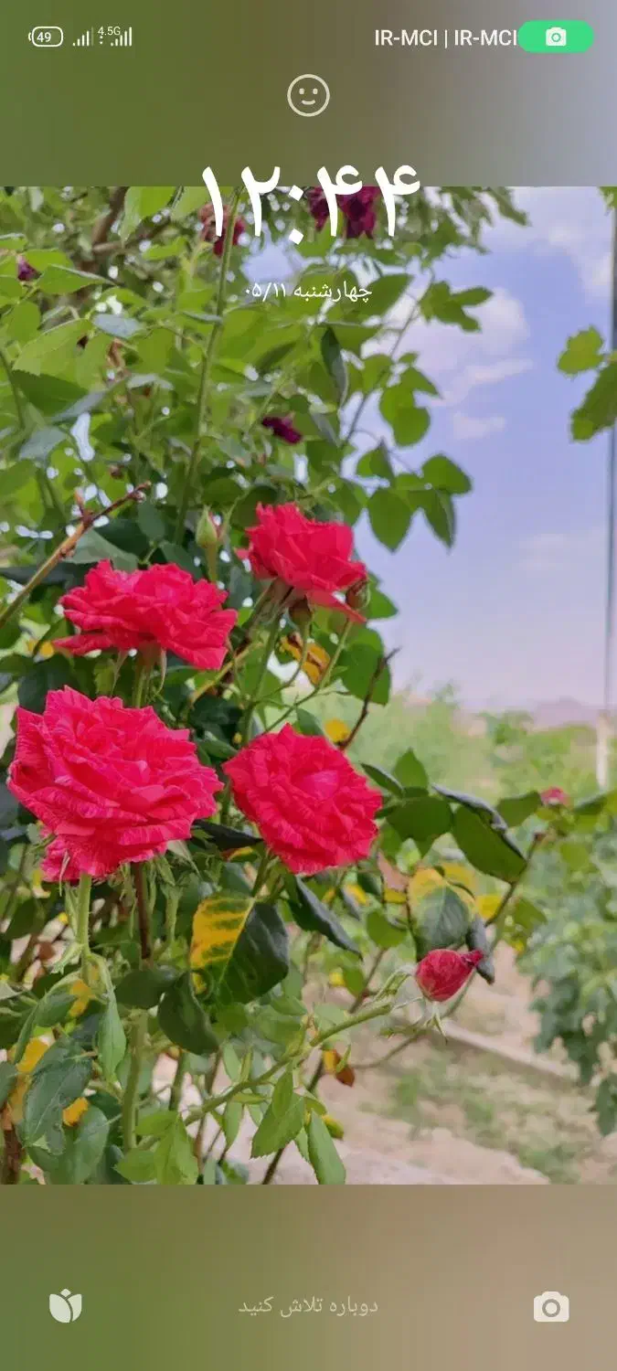 امتیاز بانک سپه فروشی 37ملیون امتیاز|کارت هدیه و تخفیف|رفسنجان, |دیوار