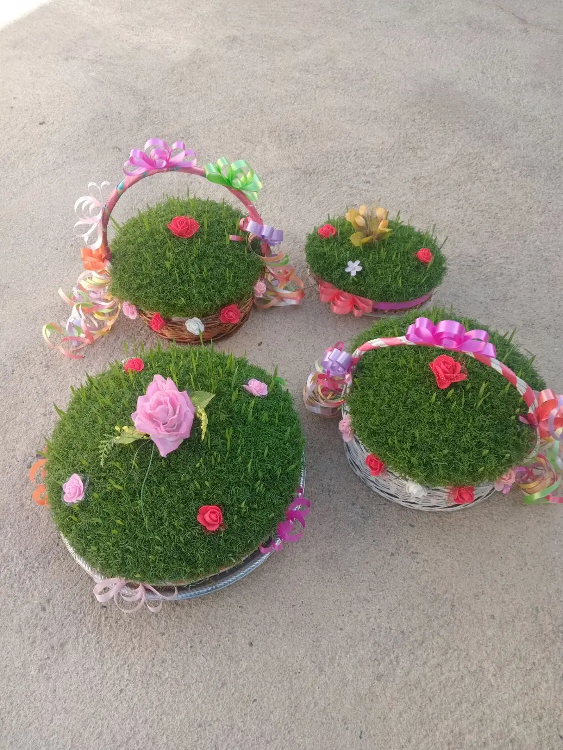 سبزه|گل و گیاه طبیعی|کنگاور, |دیوار