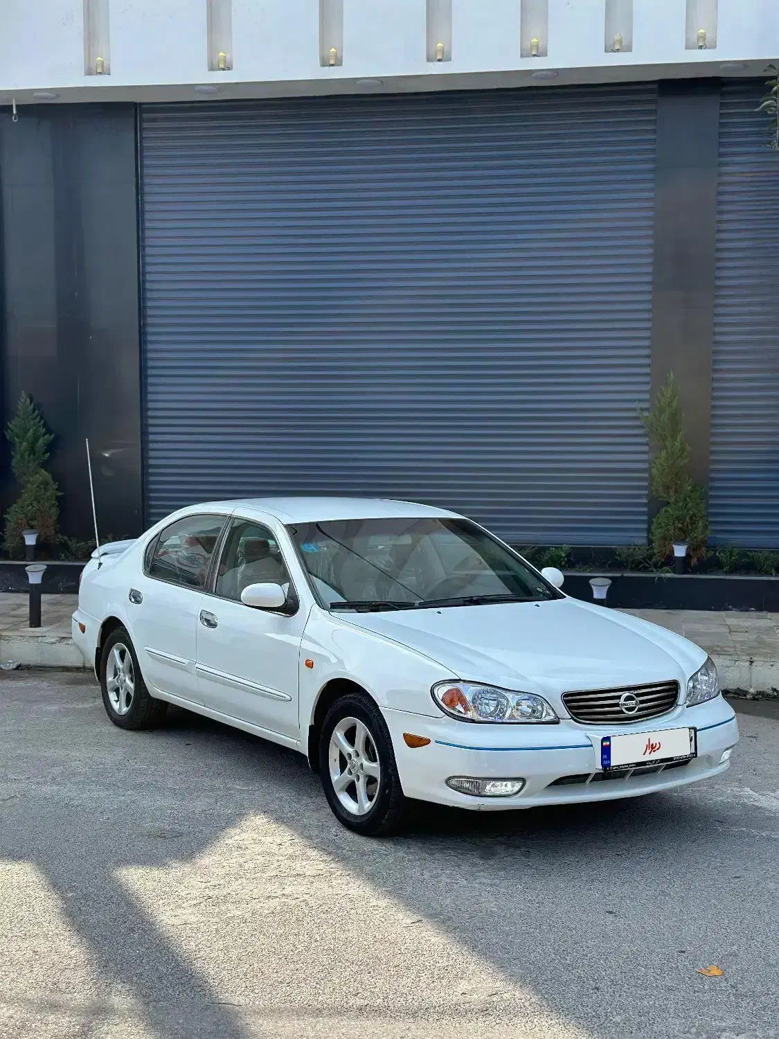 ماکسیما سفید مدل۸۷|خودرو سواری و وانت|بابل, |دیوار