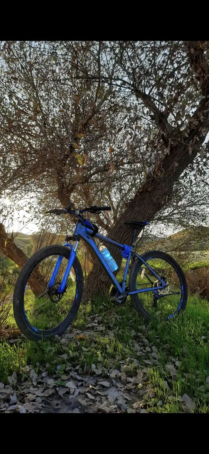 دوچرخه 29 بلست آلمینیوم|دوچرخه، اسکیت، اسکوتر|نورآباد ممسنی, |دیوار