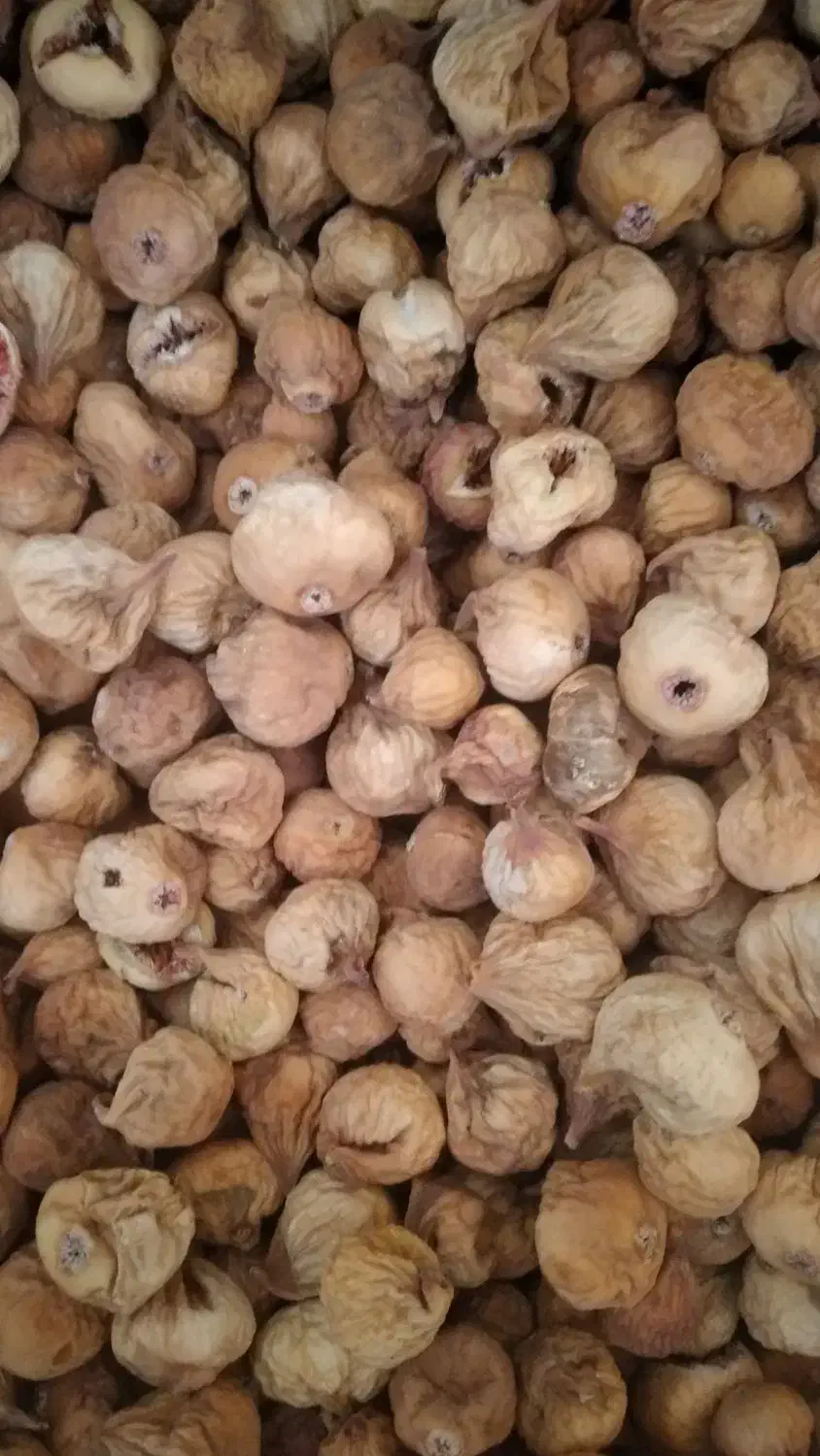 انجیر|خوردنی و آشامیدنی|شیراز, شهرک گلدشت حافظ‎|دیوار