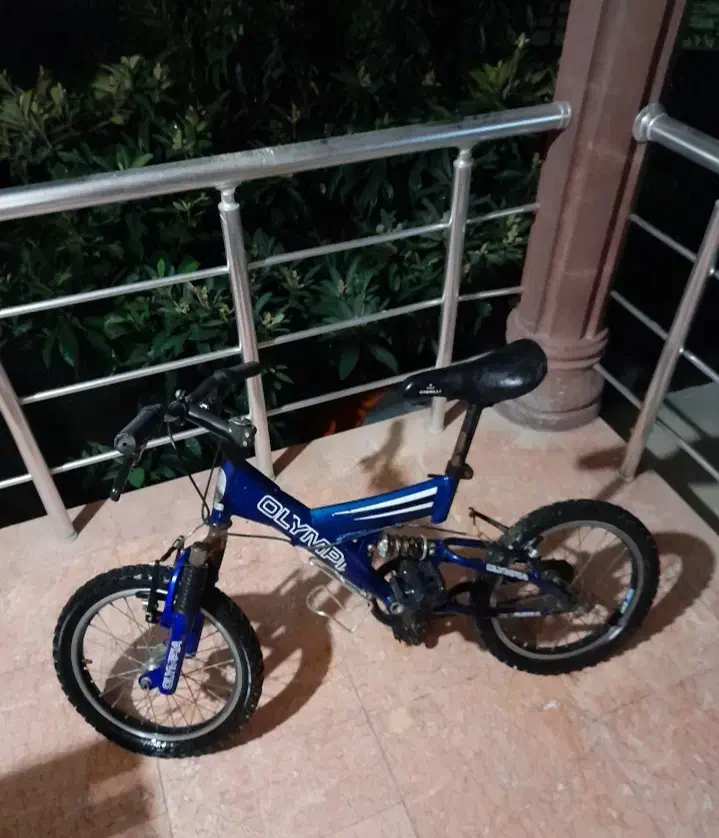 دوچرخه المپیا|دوچرخه، اسکیت، اسکوتر|رویان, |دیوار