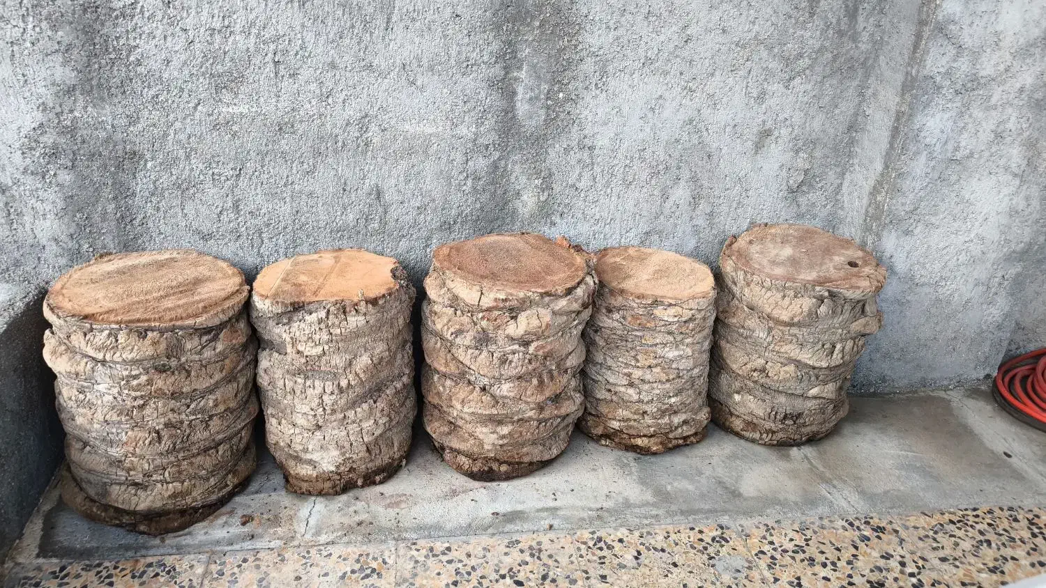 تنه نخل|صنایع دستی و سایر لوازم تزئینی|خورموج, |دیوار