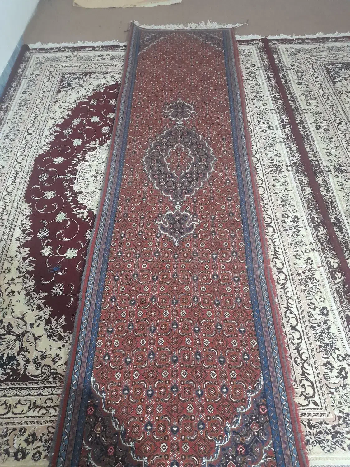 فرش کناره میراشرف|فرش|اردبیل, |دیوار