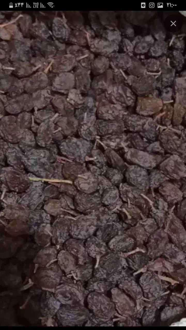 کشمش|خوردنی و آشامیدنی|خرمدره, |دیوار