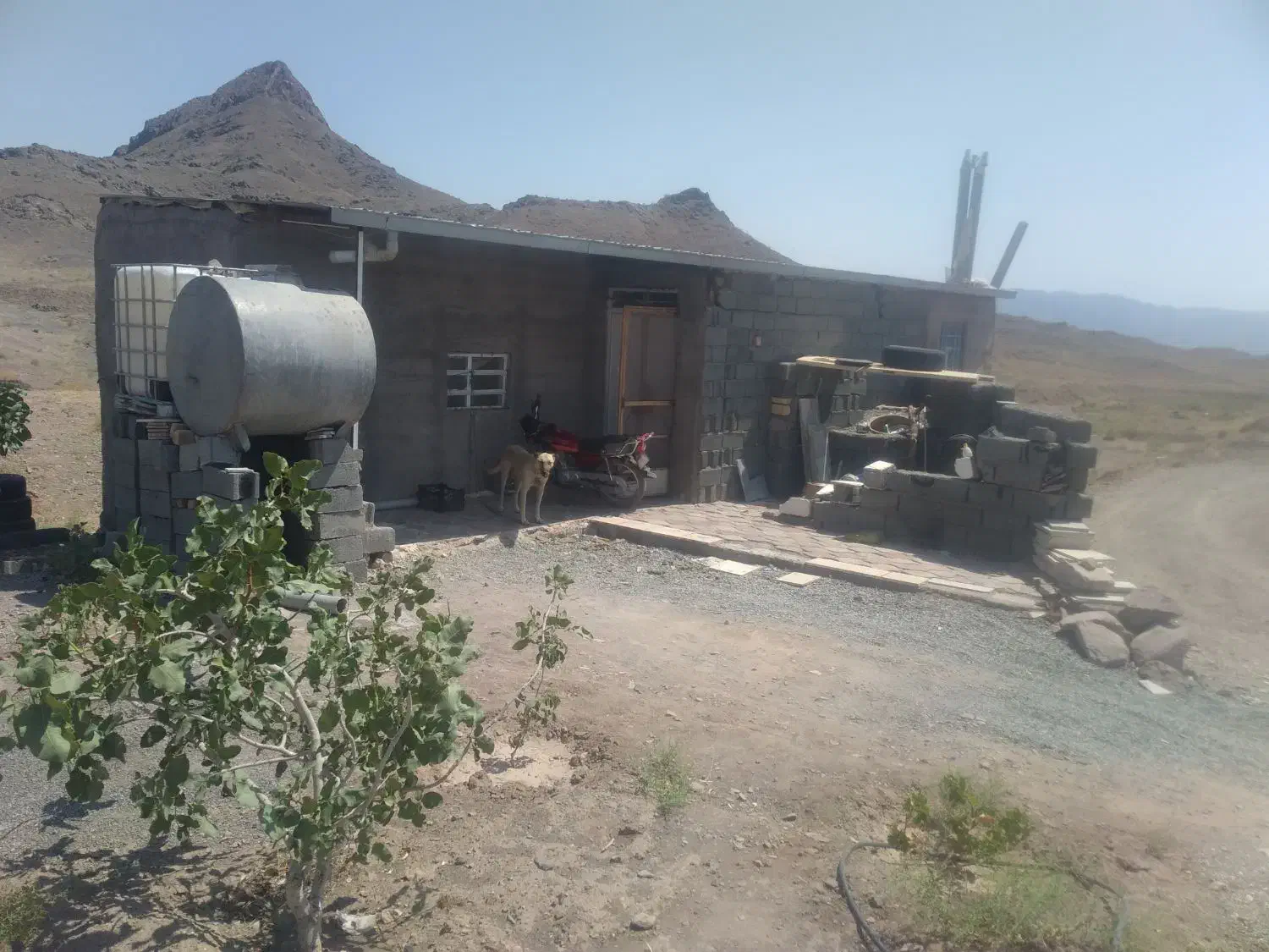 خونه باغ فروشی|فروش خانه و ویلا|بیرجند, |دیوار