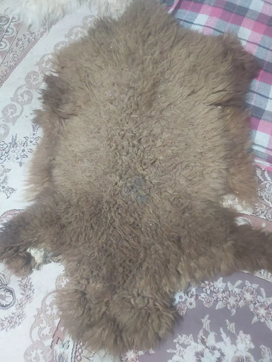 پشم گوسفند|پشتی|خرمشهر, |دیوار