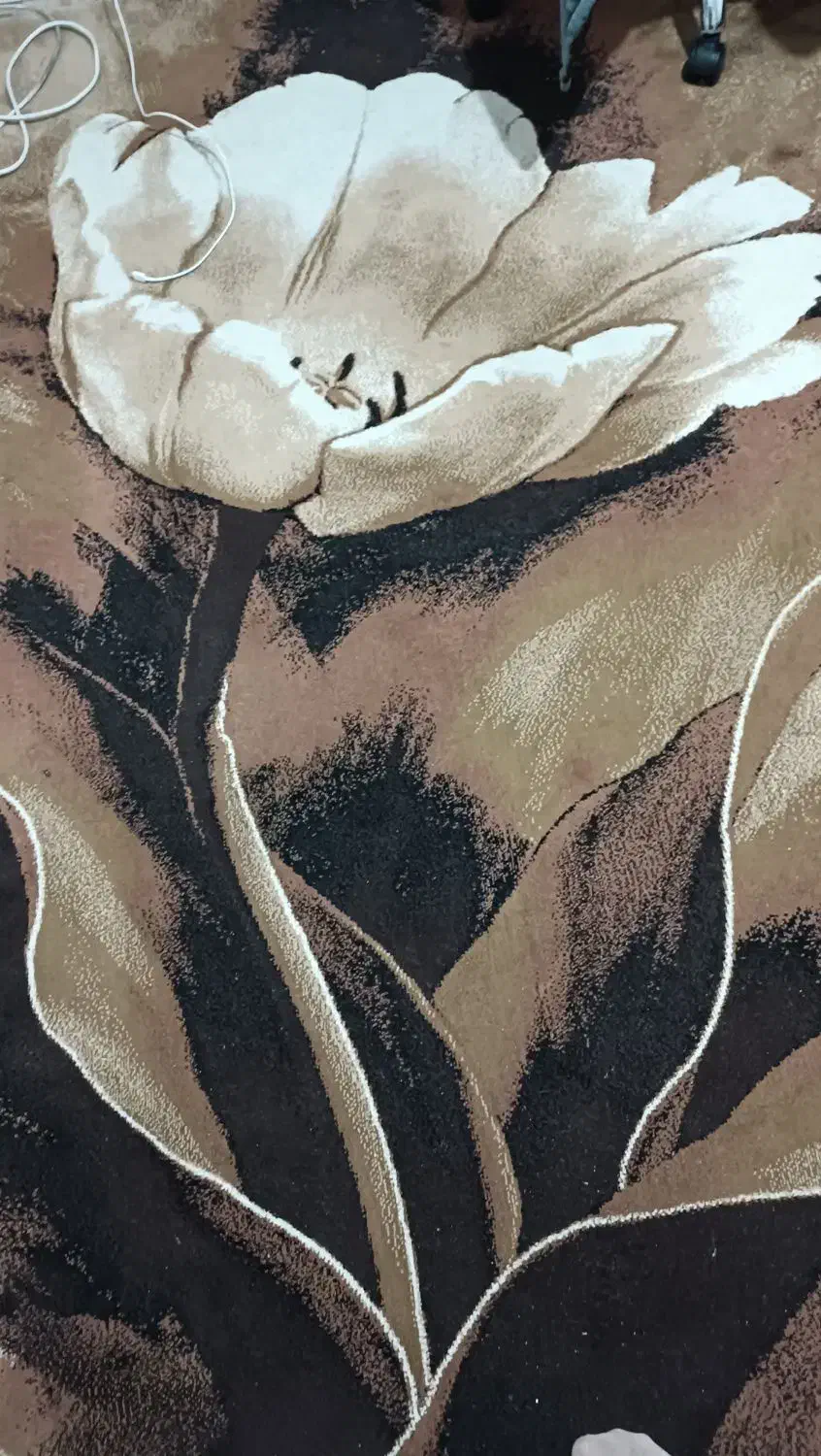 دوعدد گلیم فرش بزرگمهر|گلیم، جاجیم، گبه|ملایر, |دیوار