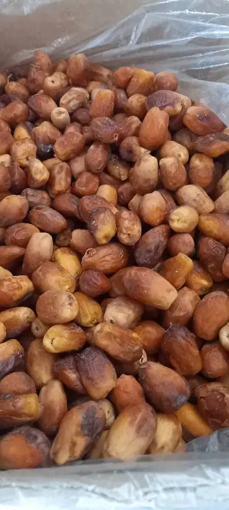 خرمای خاصو لپه محلی  نخود لوبیا چیتی روغن گوسفندی|خوردنی و آشامیدنی|شیراز, گویم|دیوار