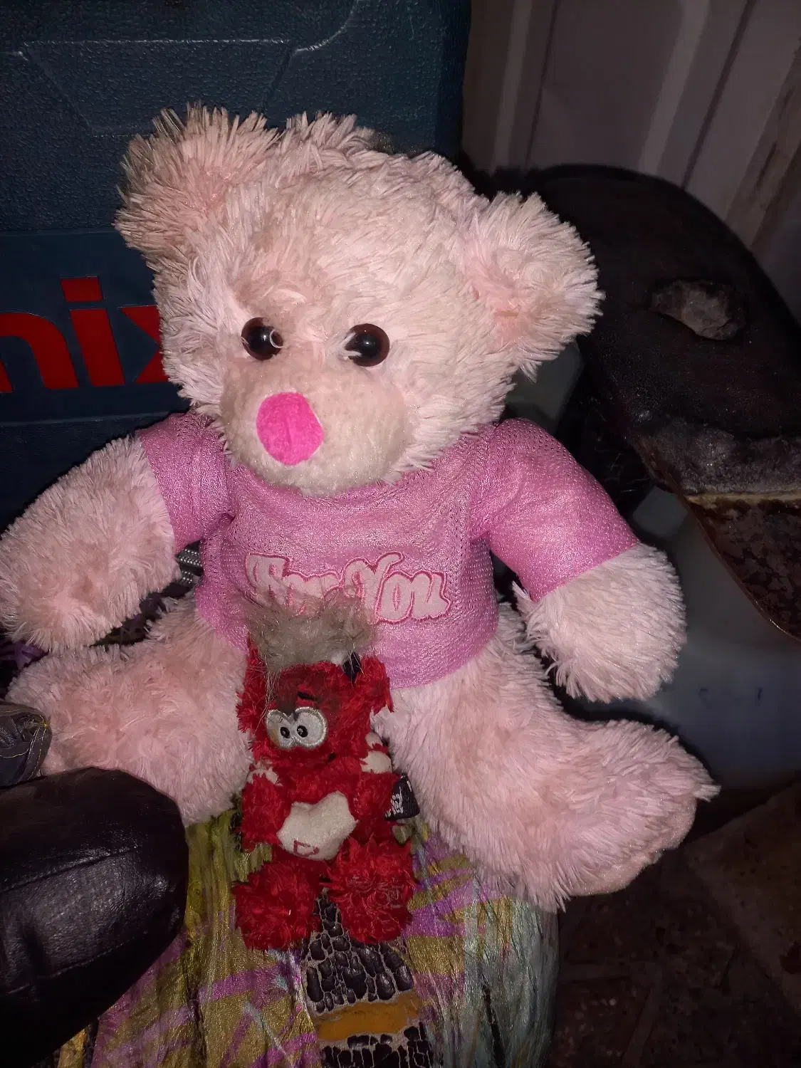 عروسک|اسباب‌‌بازی|ری, علایین|دیوار