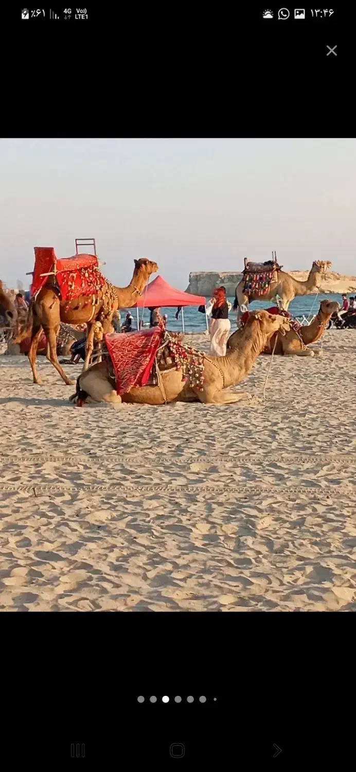 فقط۱۲۵۰۰۰۰ تومان ازصبح تا ۴ عصر|تور و چارتر|قشم, |دیوار