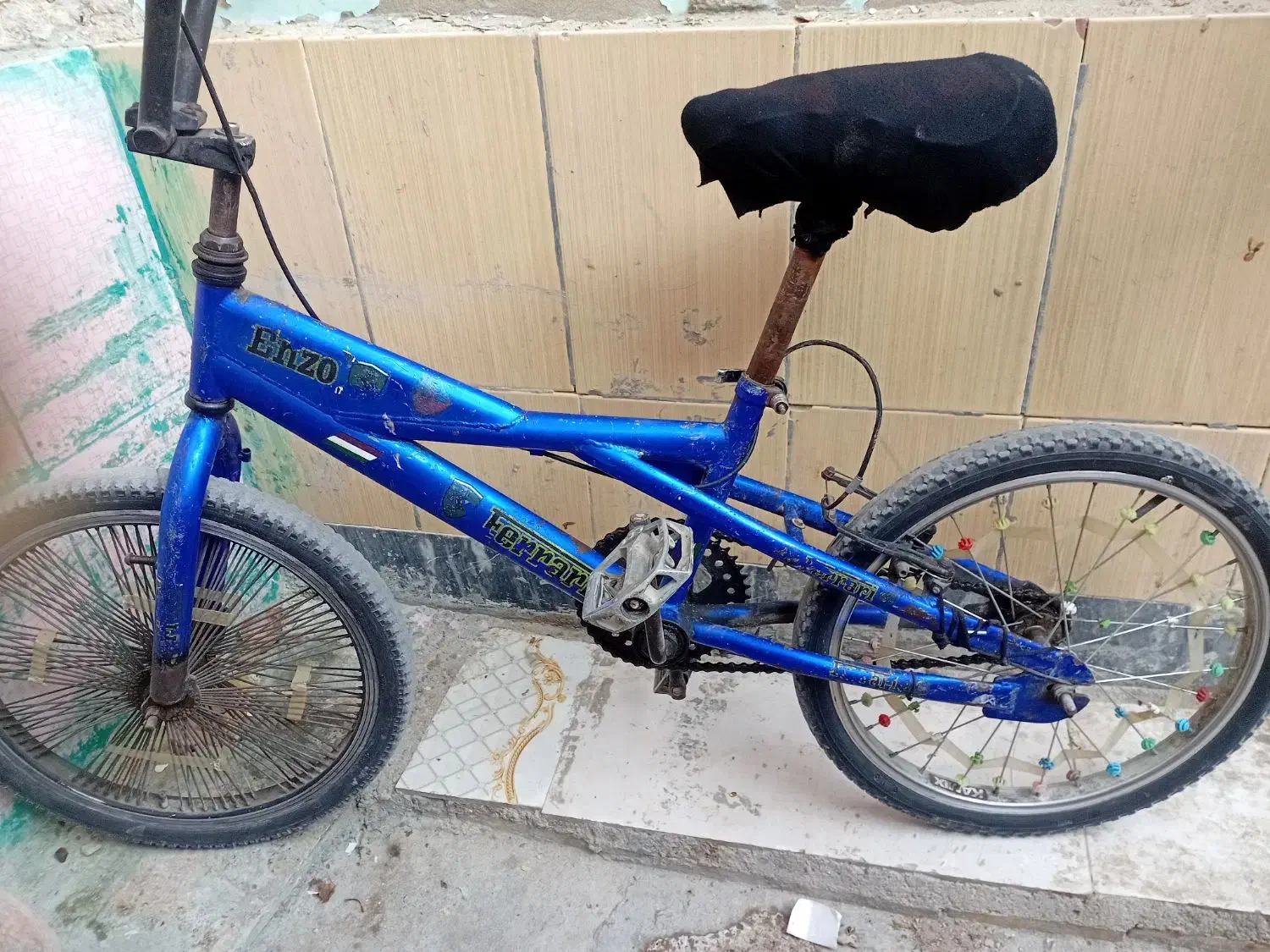 دوچرخه حرفه ای ۲۰|دوچرخه، اسکیت، اسکوتر|شادگان, |دیوار