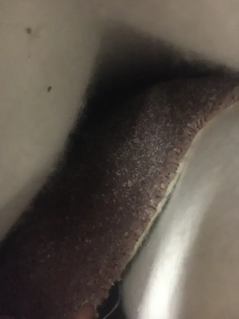 پالاز موکت ۱۲ متری کالباسی|موکت|کرمانشاه, |دیوار